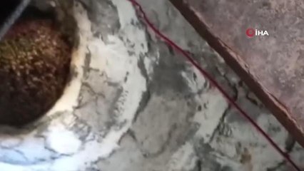 Bingöl gündem haberleri | Bingöl'de arılar, cami minaresine yuva yaptı