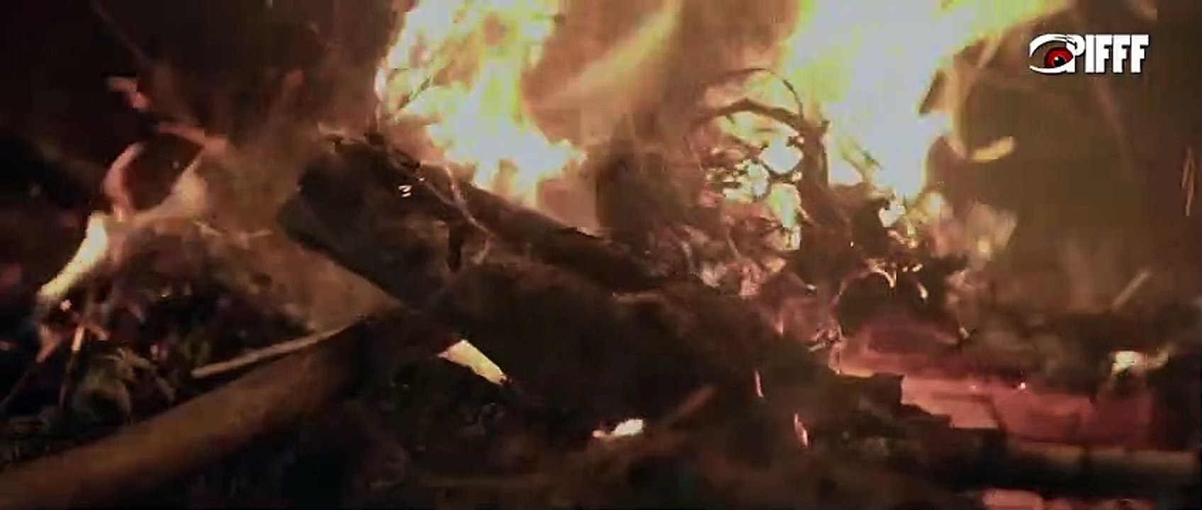 Jallikattu Bande-annonce (EN)