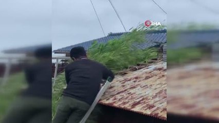 Son Dakika | Japonya'yı vuran Nanmadol Tayfunu'nda ölü sayısı 2'ye, yaralı sayısı 108'e yükseldiYaklaşık 9 milyon kişiye tahliye çağrısı yapıldı