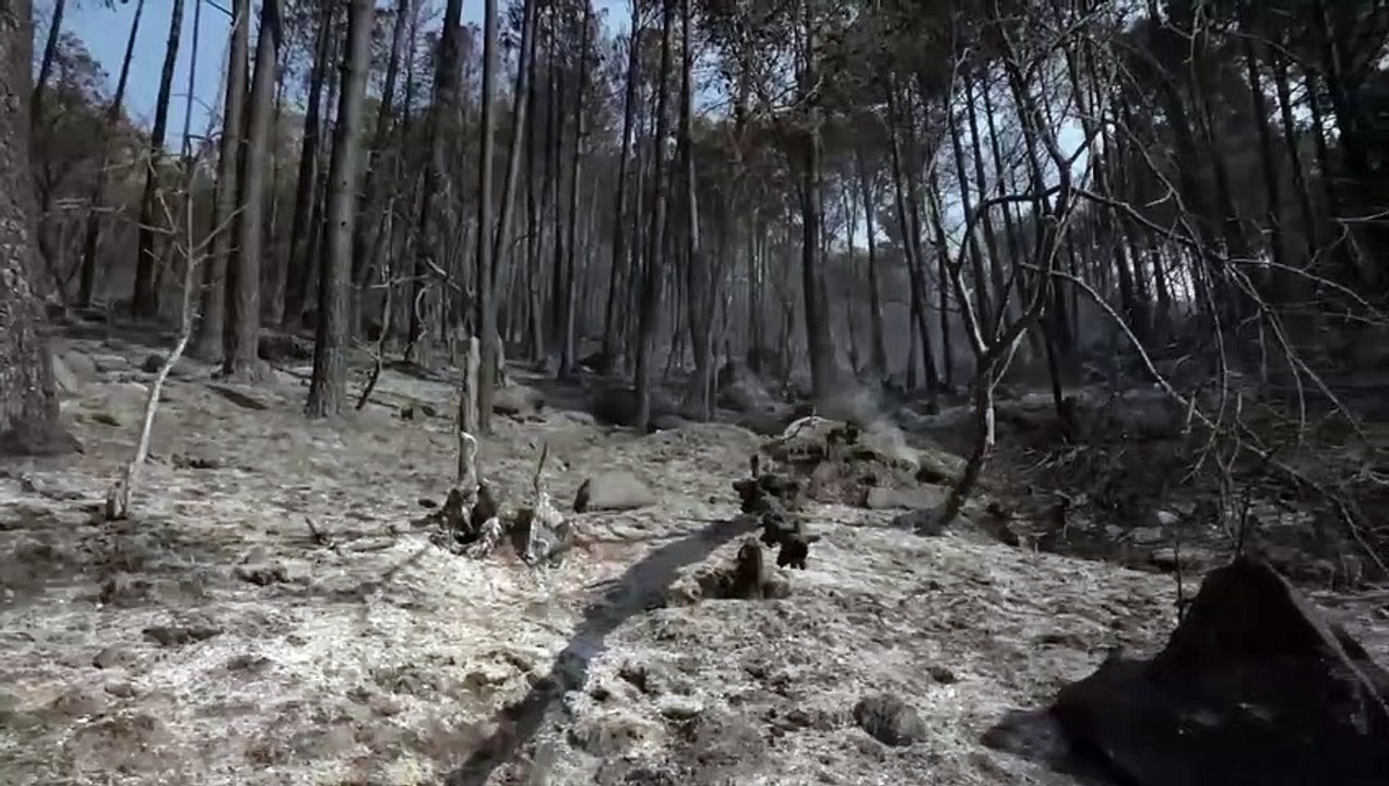 Incendio en el Valle del Tiétar