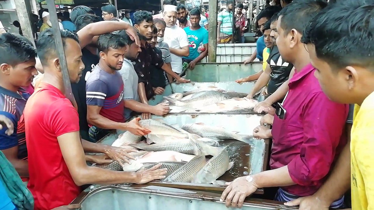 Wholesale Fish Market | Fish Sale Video | Fish Buyer & Seller | Fish Video | Fishing Video