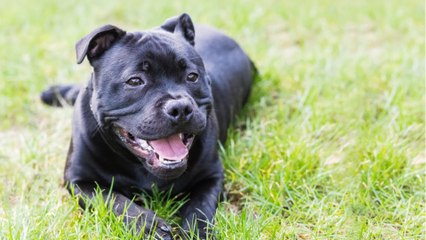 But she completely relaxed now and is living her best life