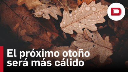 El próximo otoño será más cálido y seco de lo normal después del verano más caluroso