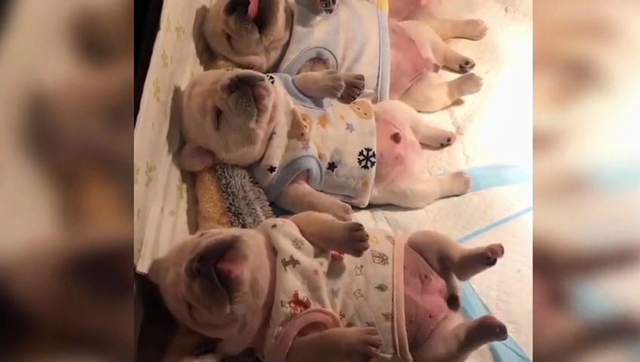 Cute babies