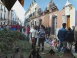 Vídeo Sant Antoni 2008_0003