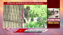 Monkeys Mob Wandering Creates Panic In Peddapalli Public  | V6 News