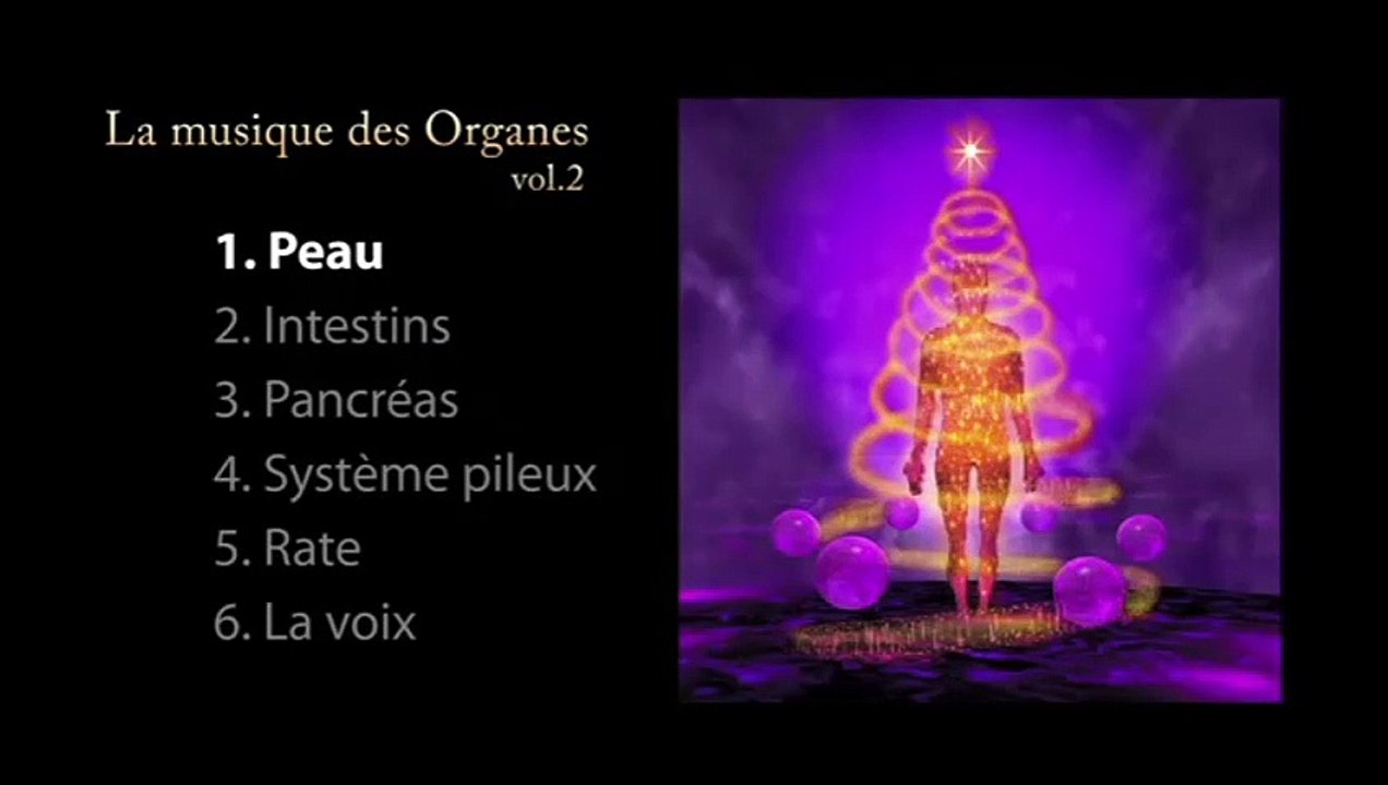 Kit De Diapasons Lestés Pour La Guérison - 15 Pièces Organes Du Corps Humain, Neuf Avec Accessoires