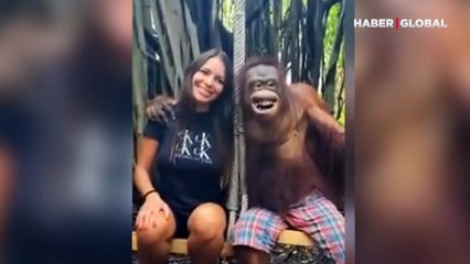 Kadını öpmelere doyamayan orangutanın ilginç halleri güldürdü