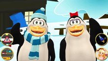 Talking Pengu & Penga Penguin Game  Gameplay Fun 