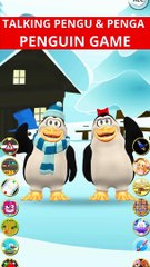 Talking Pengu & Penga Penguin Game  Gameplay Fun 
