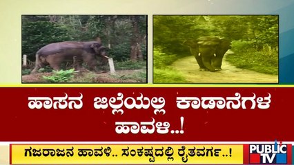 ಮೈಸೂರು, ಹಾಸನ, ಮಡಿಕೇರಿಯಲ್ಲಿ ಕಾಡಾನೆಗಳ ಹಾವಳಿ | Elephants | Public TV