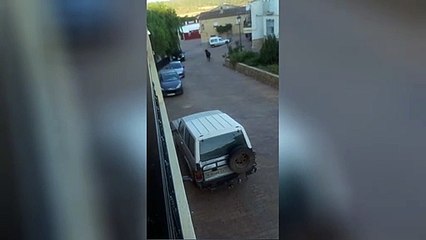 VID-20220821-WA0012.mp4