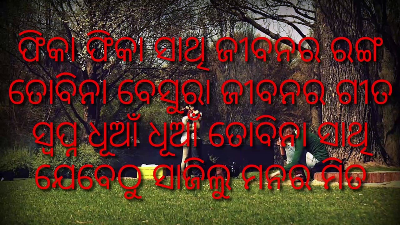 New status video