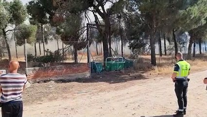 VID-20220620-WA0011 (3).mp4