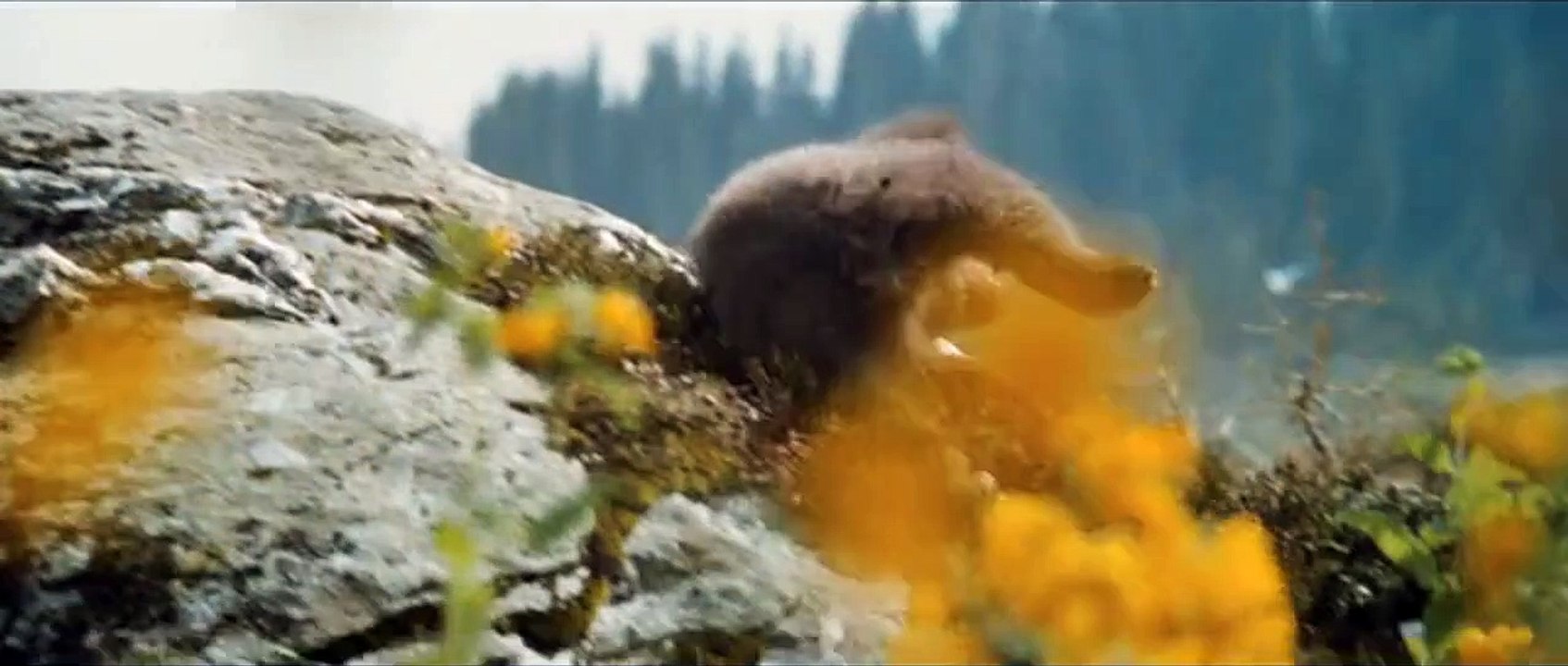 L'Ours Bande-annonce VF