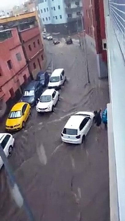 Lluvia en El Cardonal