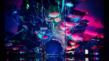 Kristy sellars takes you on a magical journey with her