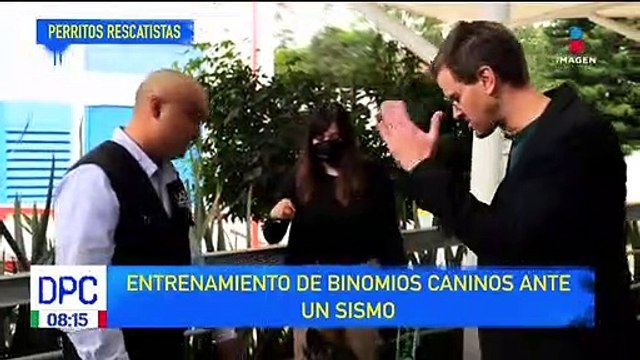 Perritos rescatistas, así son los entrenamientos caninos: