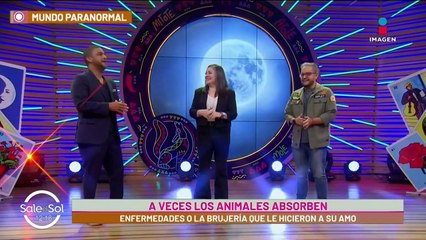 Reiki: Teraía medicinal para humanos y mascotas