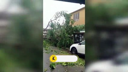 Consecuencias de Fiona en Mayagüez, Puerto Rico