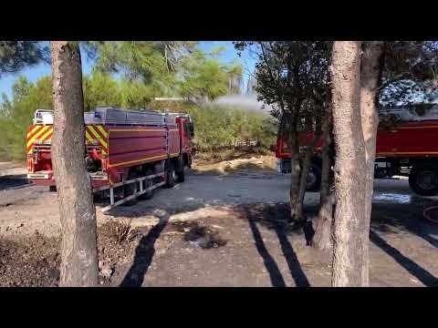 Martigues : un feu de broussailles maîtrisé à côté du site de Primagaz