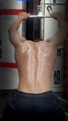 Effective Back Workout