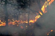Son dakika haberleri... Alanya'da ikinci orman yangını büyümeden söndürüldü