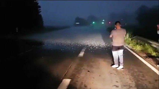 Il a trouvé la limite de l'orage de grêle et c'est impressionnant