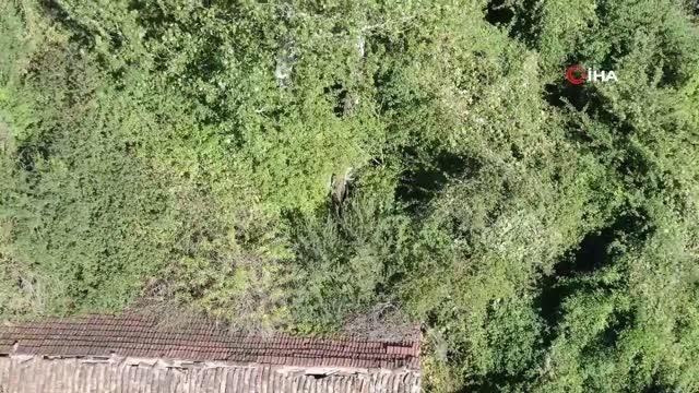 Kars haber | Susuz kalan 500 yıllık değirmen çürümeye yüz tuttu