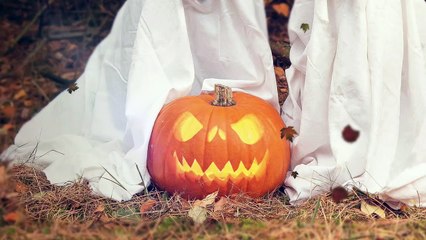 Pumpkin Carving Season Is Almost Upon Us! Get Inspired With These Amazing Ideas