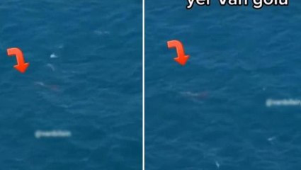 Van'da çekilen görüntü yine ortalığı ayağa kaldıracak! Efsane geri dönüyor