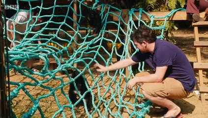 Baby Chimp Rescue S01E01 Miracles Can Happen