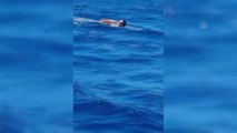 Çanakkale haberleri! ÇANAKKALE - Yüzücü Alper Sunaçoğlu, Gökçeada'ya 8 saat 14 dakikada yüzdü
