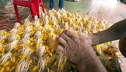 How mountains of worm cocoons are turned into expensive silk in Vietnam