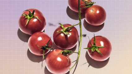 What Are Nightshades and Are They Bad for You? Here's What a Dietitian Says
