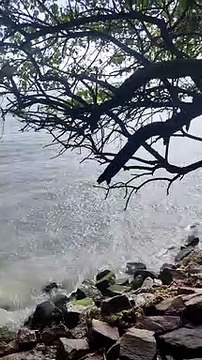 VID-20220915-WA0001