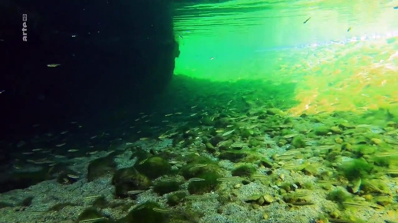 Stromaufwärts! - Europas Wasserwege Staffel 1 Folge 3 HD Deutsch