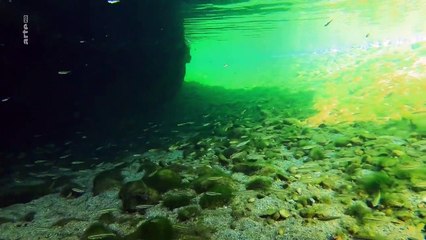 Stromaufwärts! - Europas Wasserwege Staffel 1 Folge 4 HD Deutsch