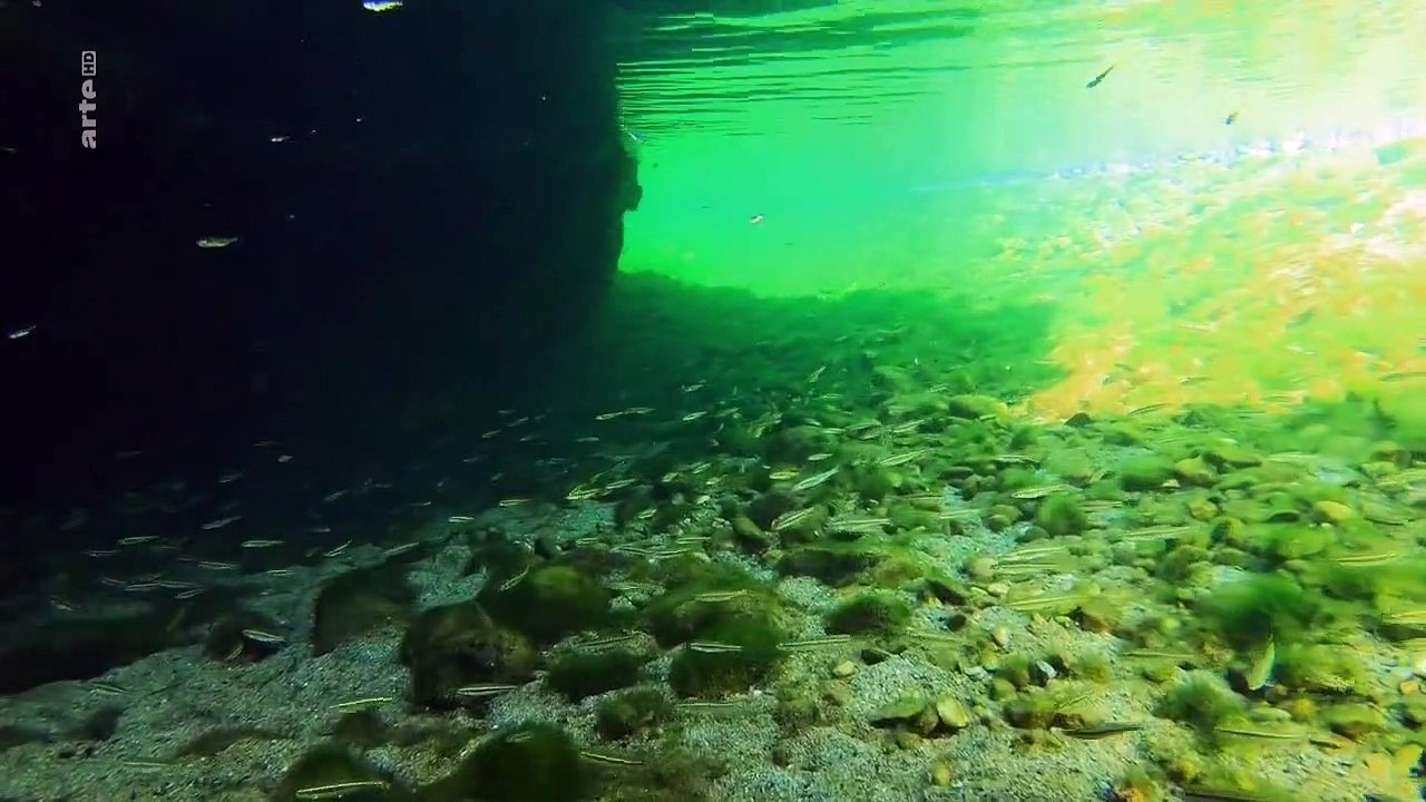 Stromaufwärts! - Europas Wasserwege Staffel 1 Folge 4 HD Deutsch