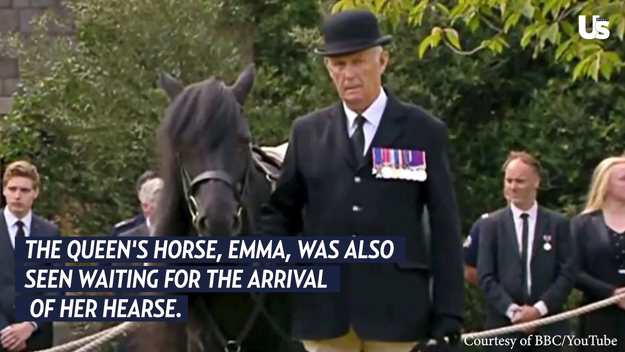 Queen Elizabeth II Pet Corgis Await Coffin Arrival During Funeral