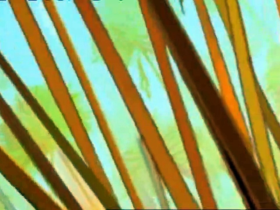 Papyrus Staffel 2 Folge 9 HD Deutsch