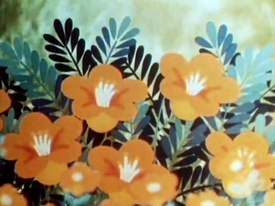 Tao Tao - Tiergeschichten aus aller Welt Staffel 1 Folge 23 HD Deutsch