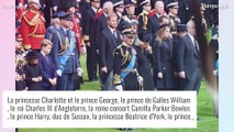 Funérailles d'Elizabeth II : Pourquoi le prince George était-il habillé en bleu marine et pas en noir ?