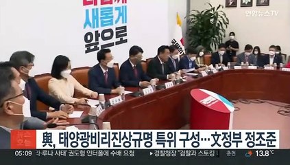 與, 태양광비리진상규명 특위 구성…文정부 정조준