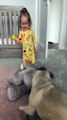 Little Girl With Infectious Giggles Plays With Her Pug