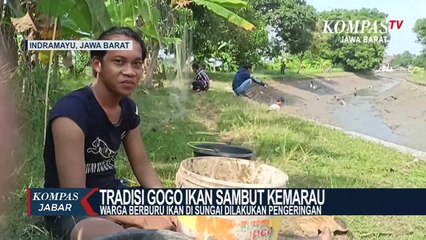 Tradisi Berburu Ikan di Indramayu