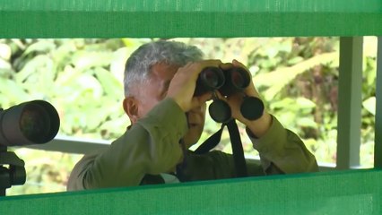 MQN-aves-negocio-190922