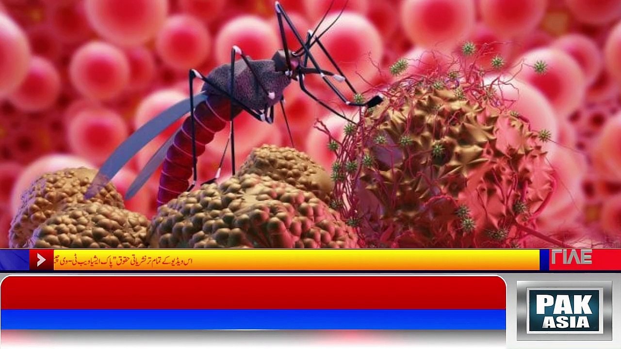 DAHARKI The Hospitals Were Filled With Patients Due To Diseases After The Rains