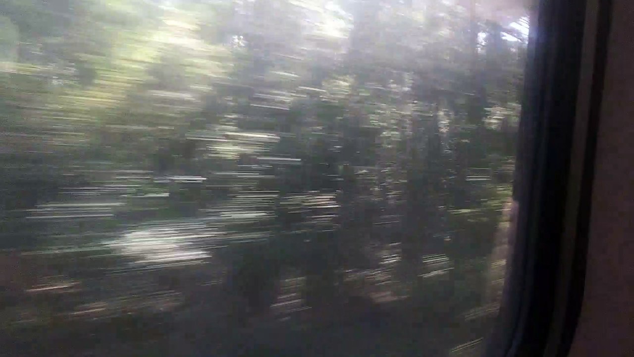 Amtrak Carolinian 79 West of Selma Smithfield