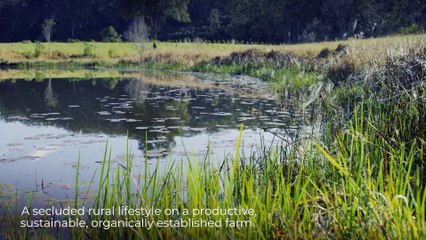 Valery Road Organic Macadamias - September 20, 2022 - Farmonline